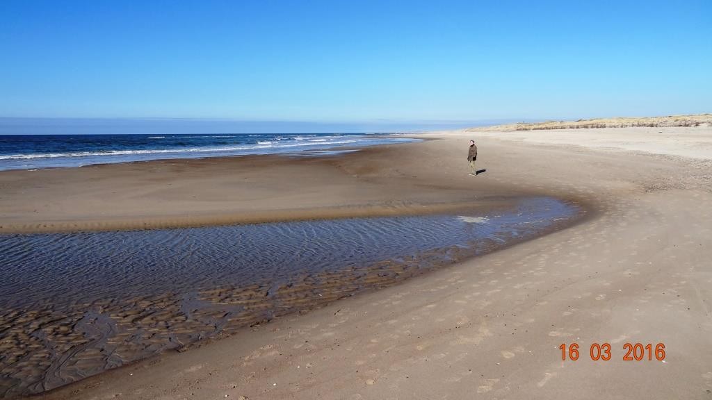 Strand_marts2016